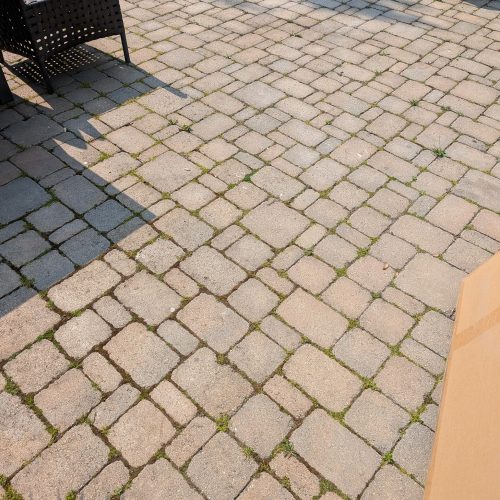 509441986_1029862342627354_3425787314429977341_n