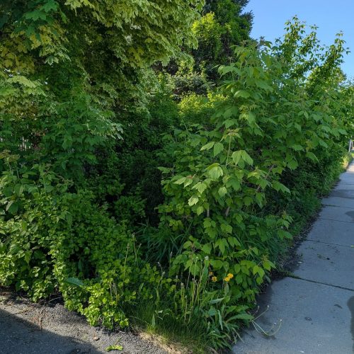 511273918_1029866712626917_3244029048392778167_n